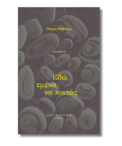 Εδώ, εμένα να κοιτάς | Πέτρος Μεϊδάνης